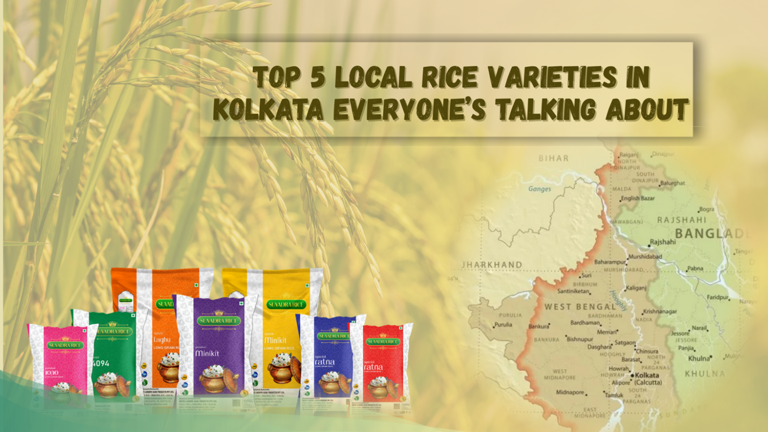 Top 5 Local Rice Varieties in Kolkata Everyone’s Talking About