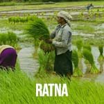 Ratna